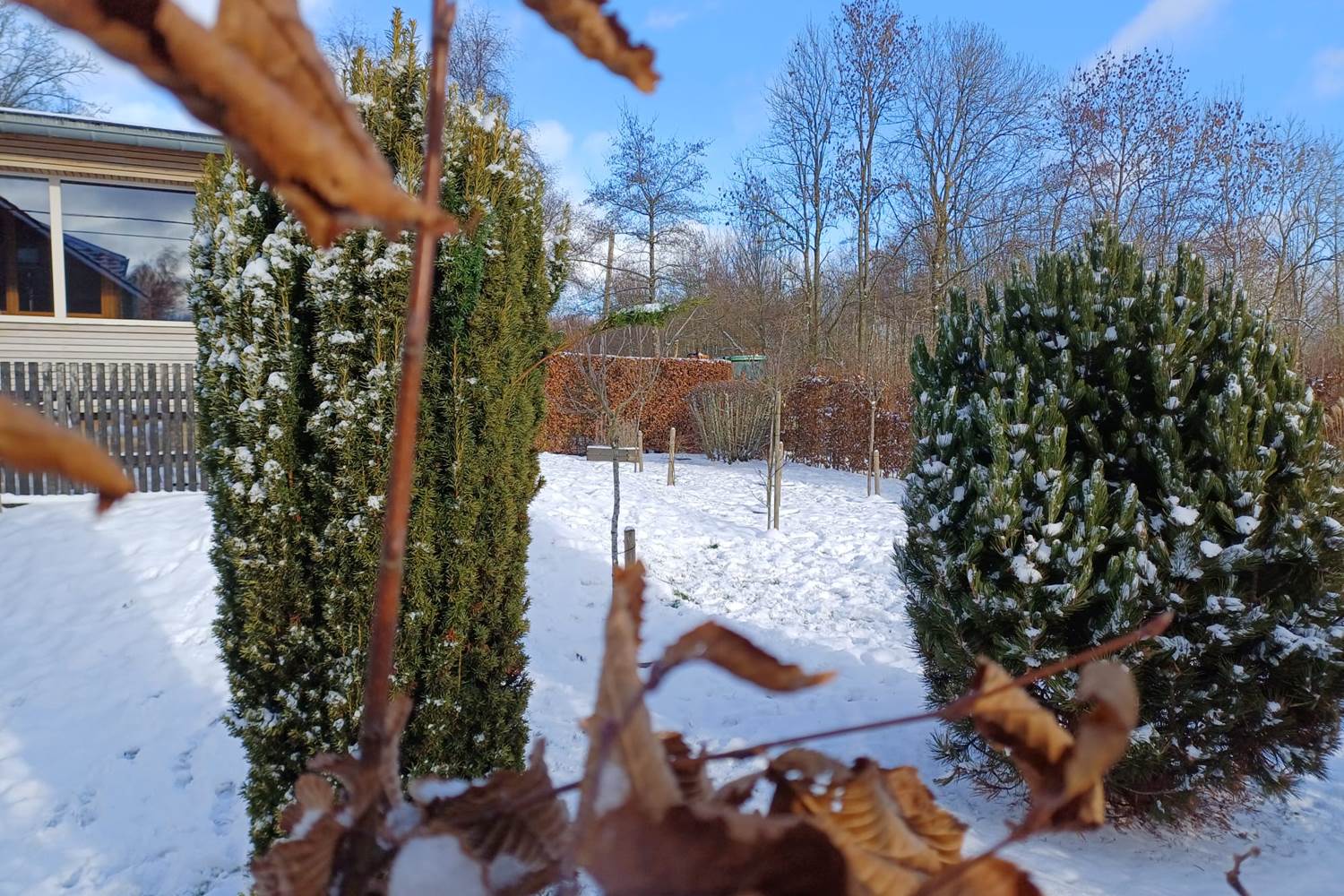Quel beau jardin, tout blanc !