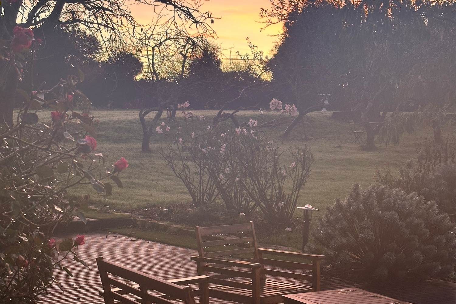 lever de soleil sur le parc