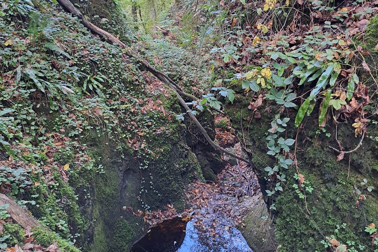 Cuve ou marmite du Colèbî