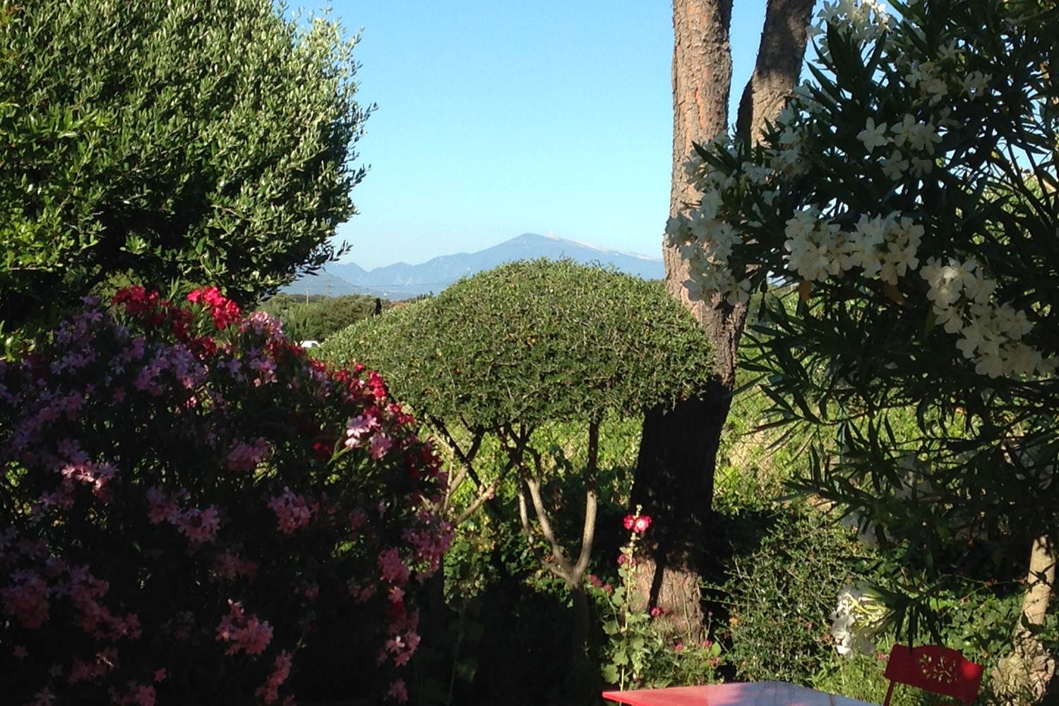 Gîte Le Levant - Vue sur le Mont Ventoux