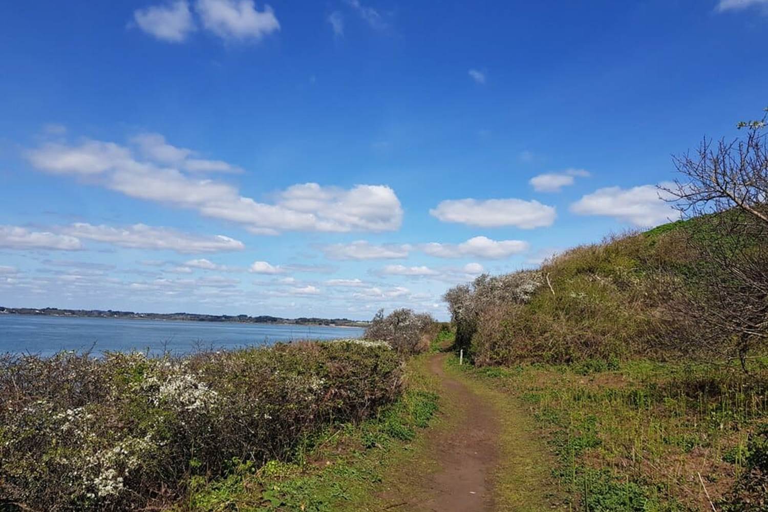 ILEAUXMOINES-GOLFEDUMORBIHAN-BRETAGNESUD