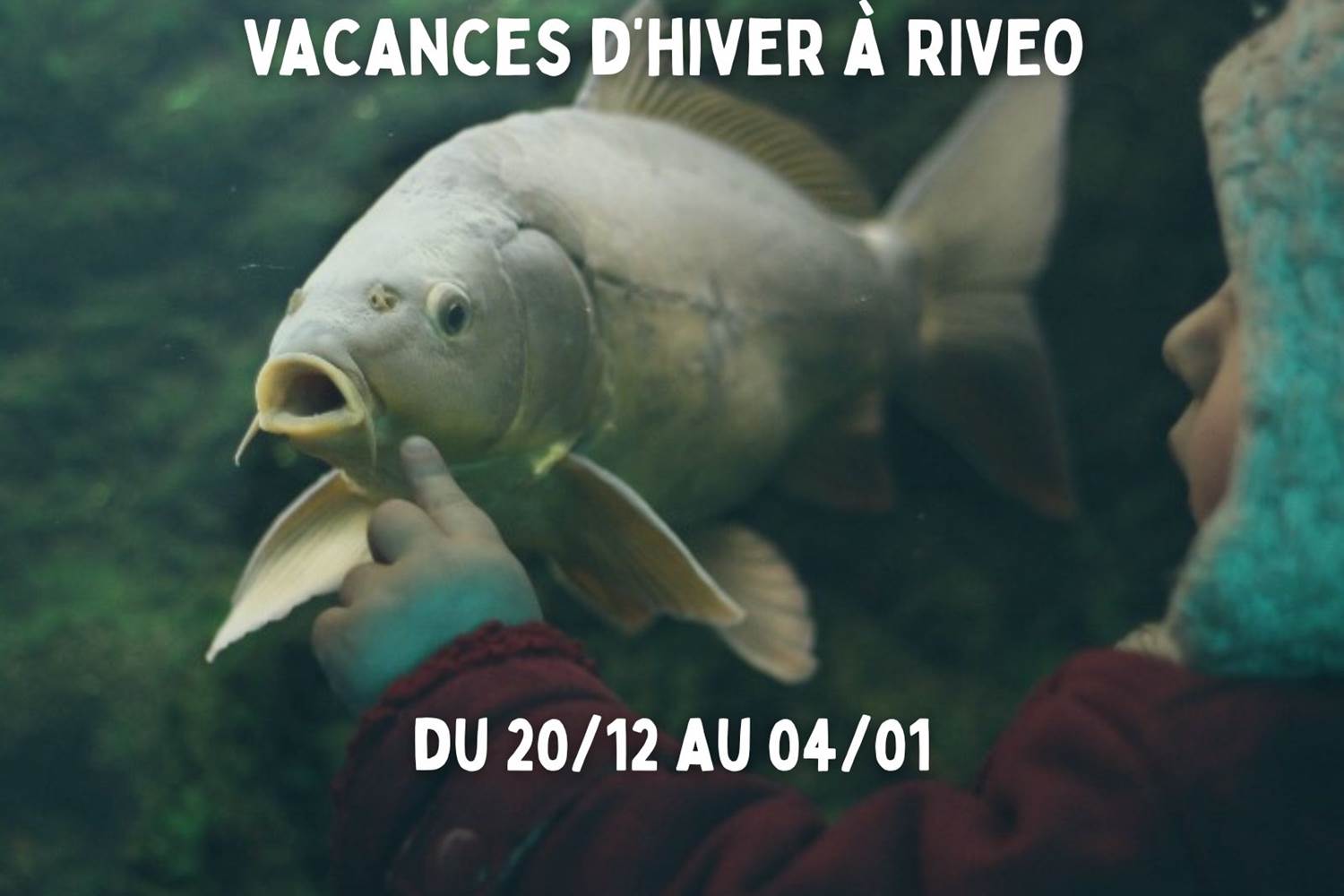 vacances-hiver-activite-famille