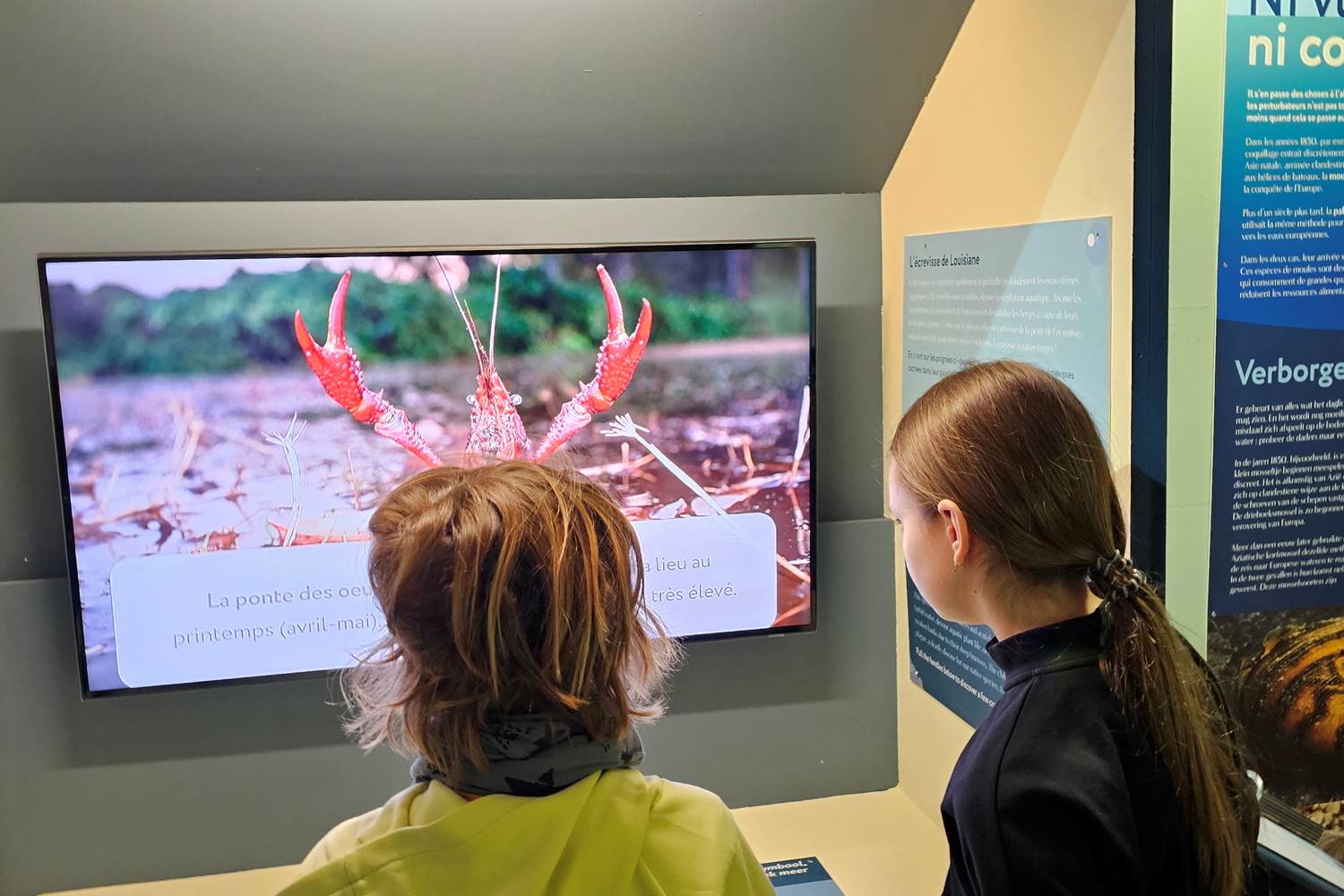 exposition-especes-invasives