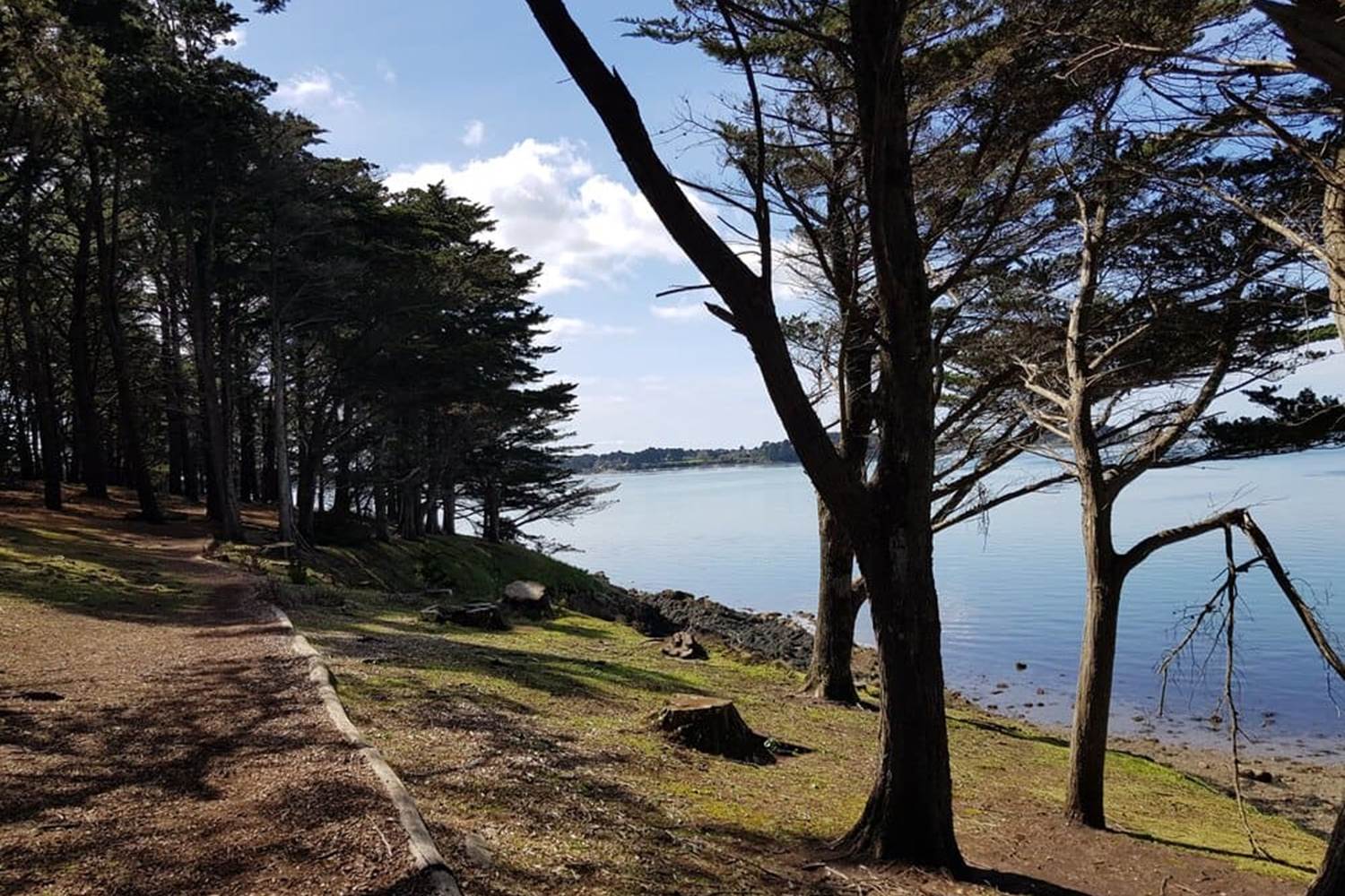 ILEAUXMOINES-GOLFEDUMORBIHAN-BRETAGNESUD