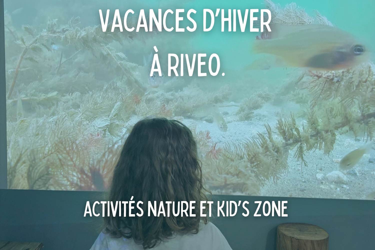 activite-vacance-noel-famille-ardenne