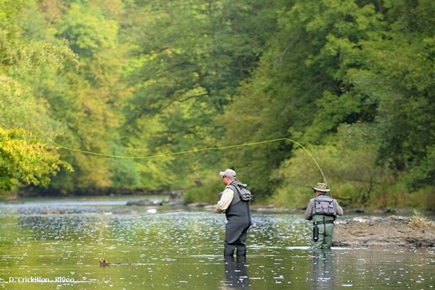 peche-mouche-belgique-©d-crickillon