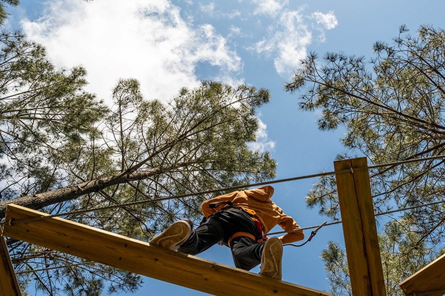 Parcours accrobranche