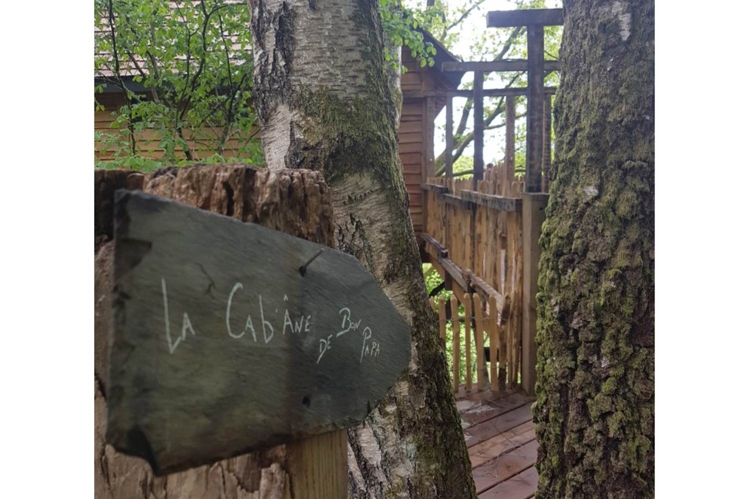 entrée cabane