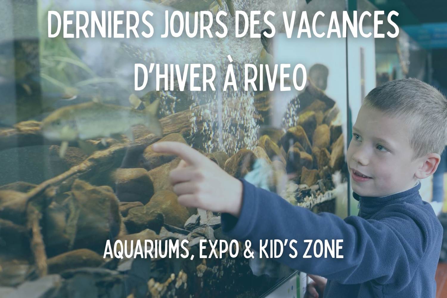 activite-famille-interieur-aquarium-enfant