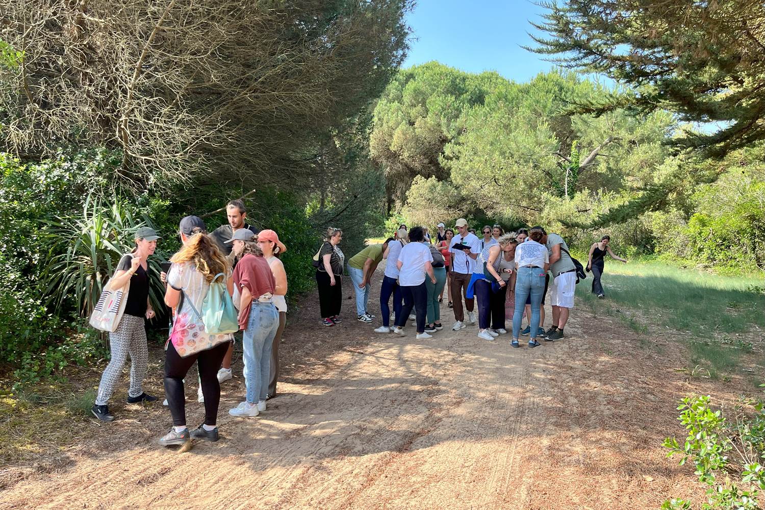 team building au bois plage en ré