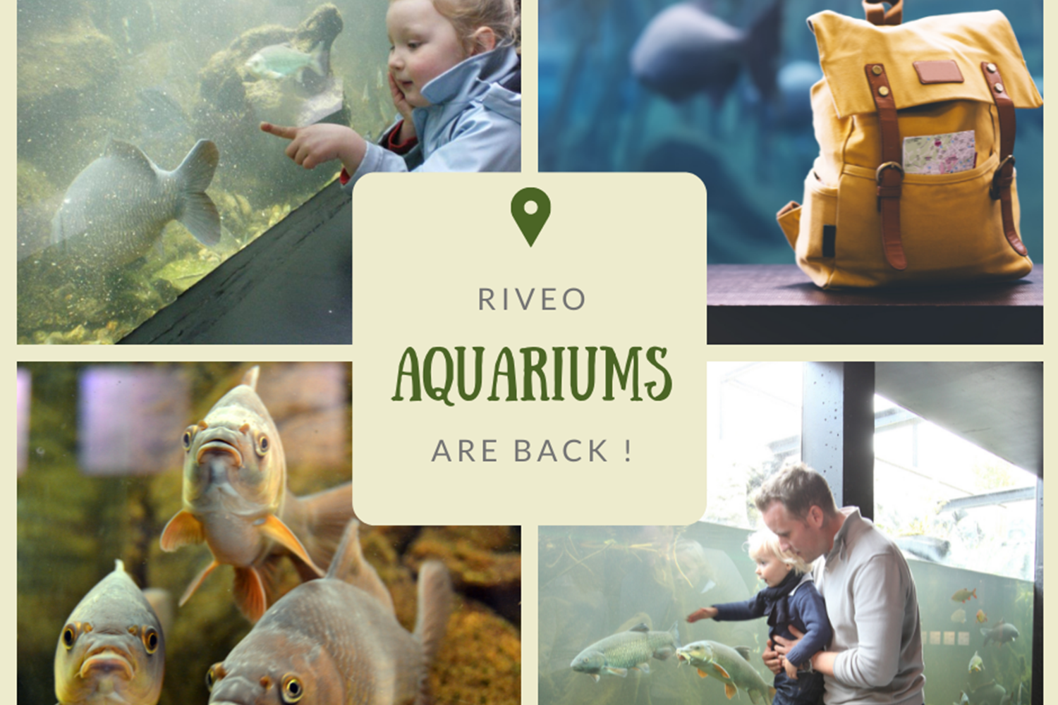 Aquariums RiveO