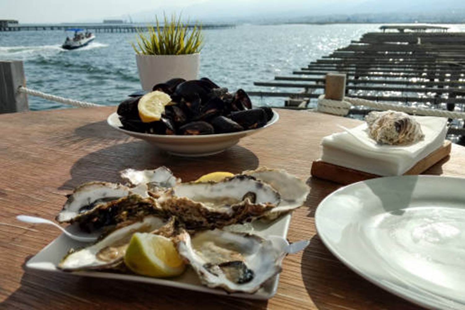 Les produits de la mer