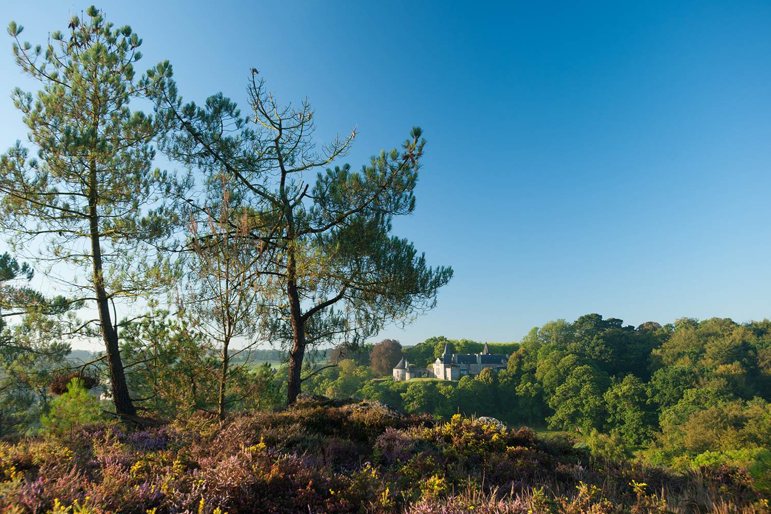 Les Landes La Nature