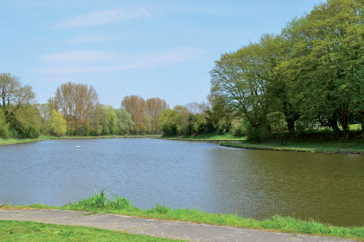 Etang de la Cafenière