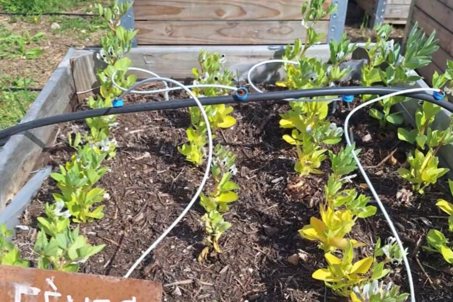 Verger et potager bio