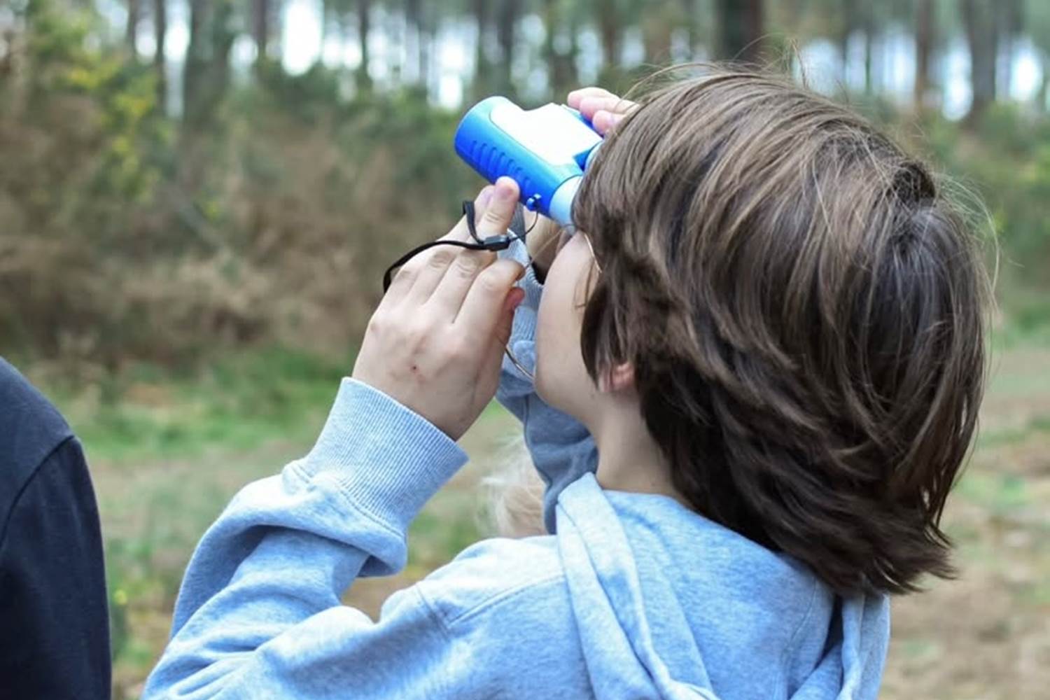 Exploration inspirée d'une légende landaise