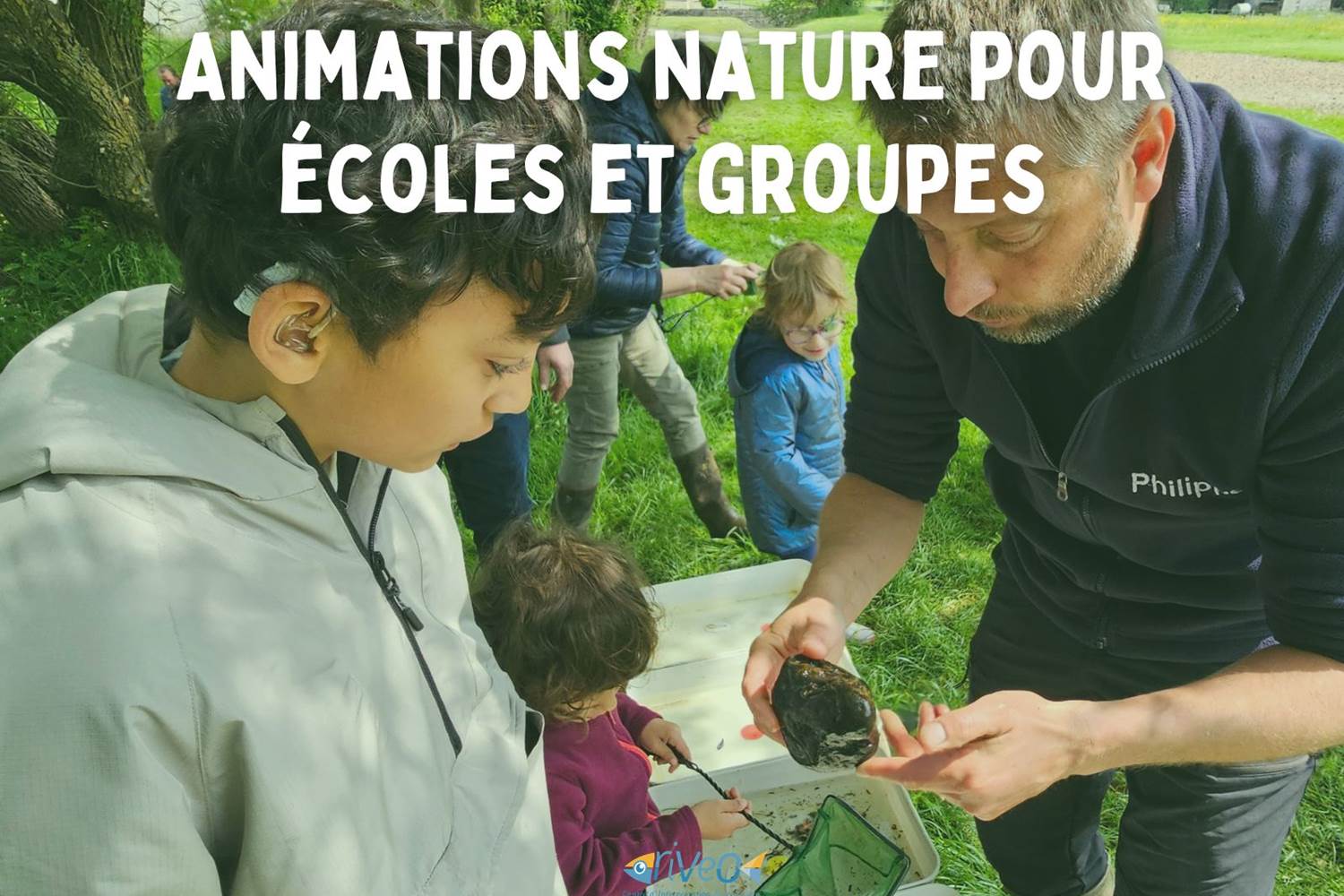 animation-ecole-decouverte-nature-wallonie