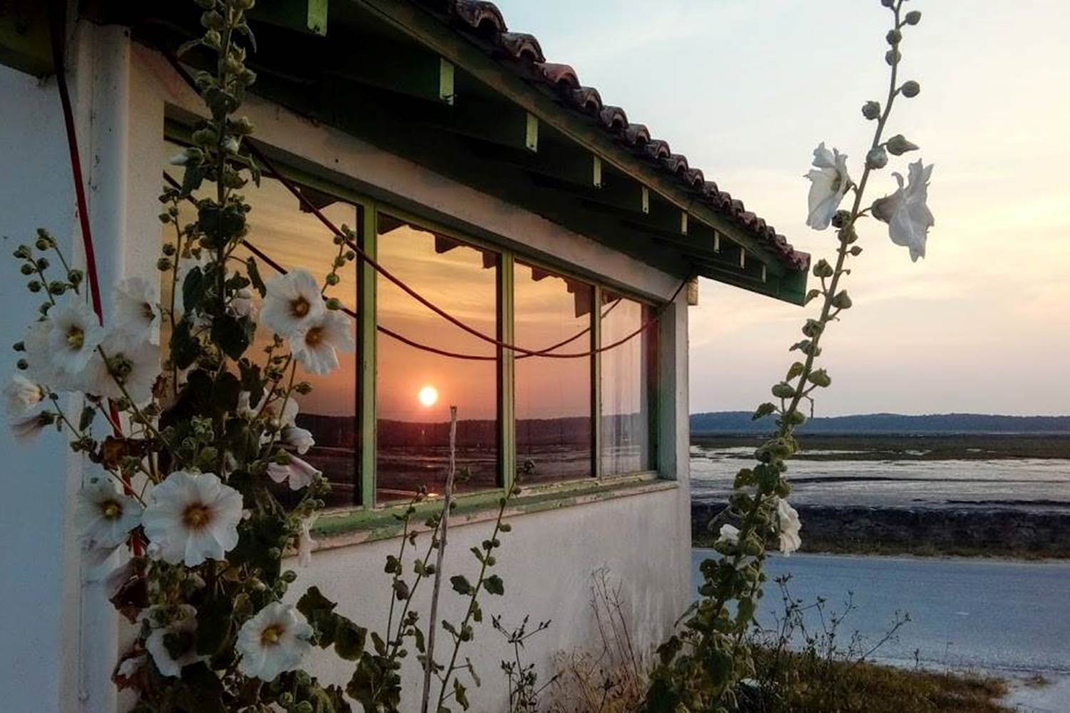 location-vacances-locaplage-200m bassin d'arcachon-lanton