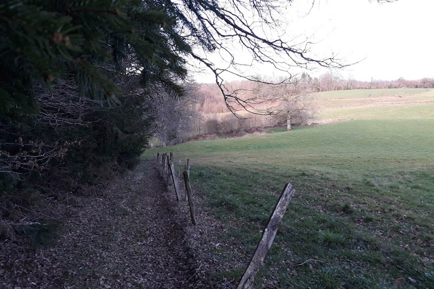 sentier depuis le camping, wandelpad vanaf de camping