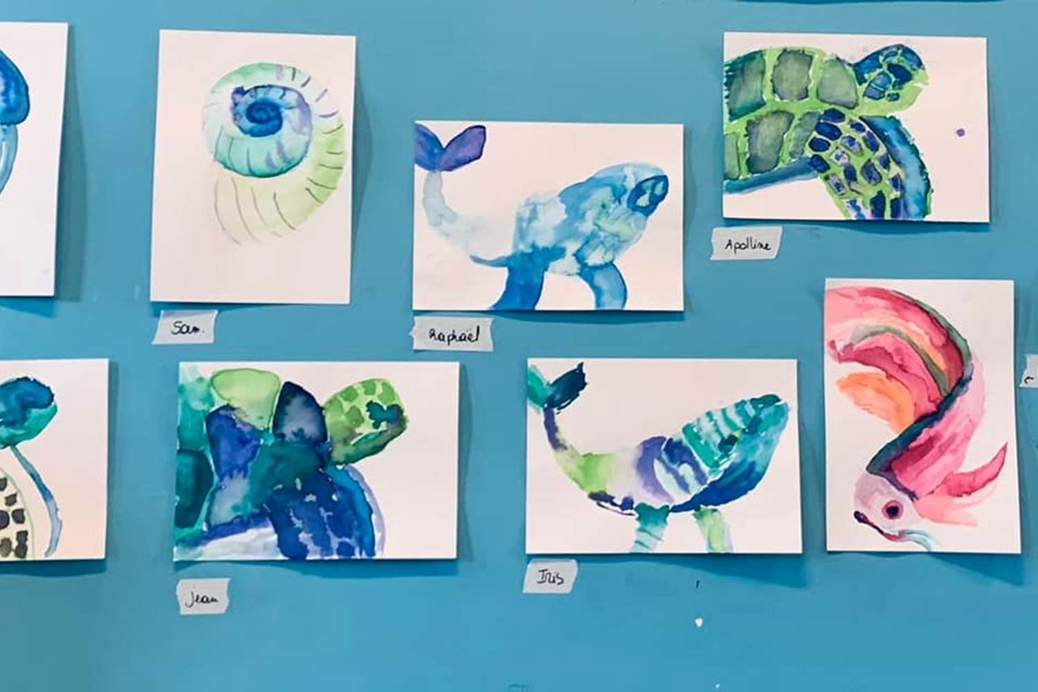 292157068_156656053581186_4675188582282551094_n