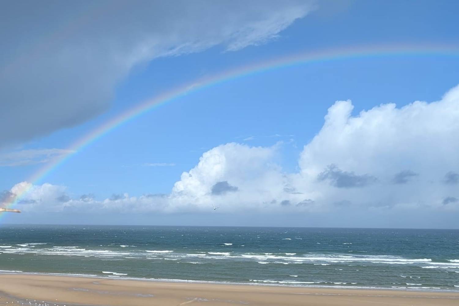LA COTE D'OPALE - LA BERCERIE - PEUPLINGUES CAP BLANC NEZ