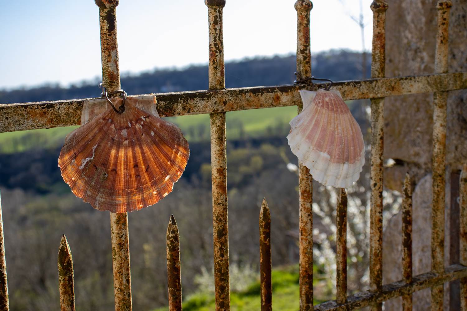 Le symbole du Chemin