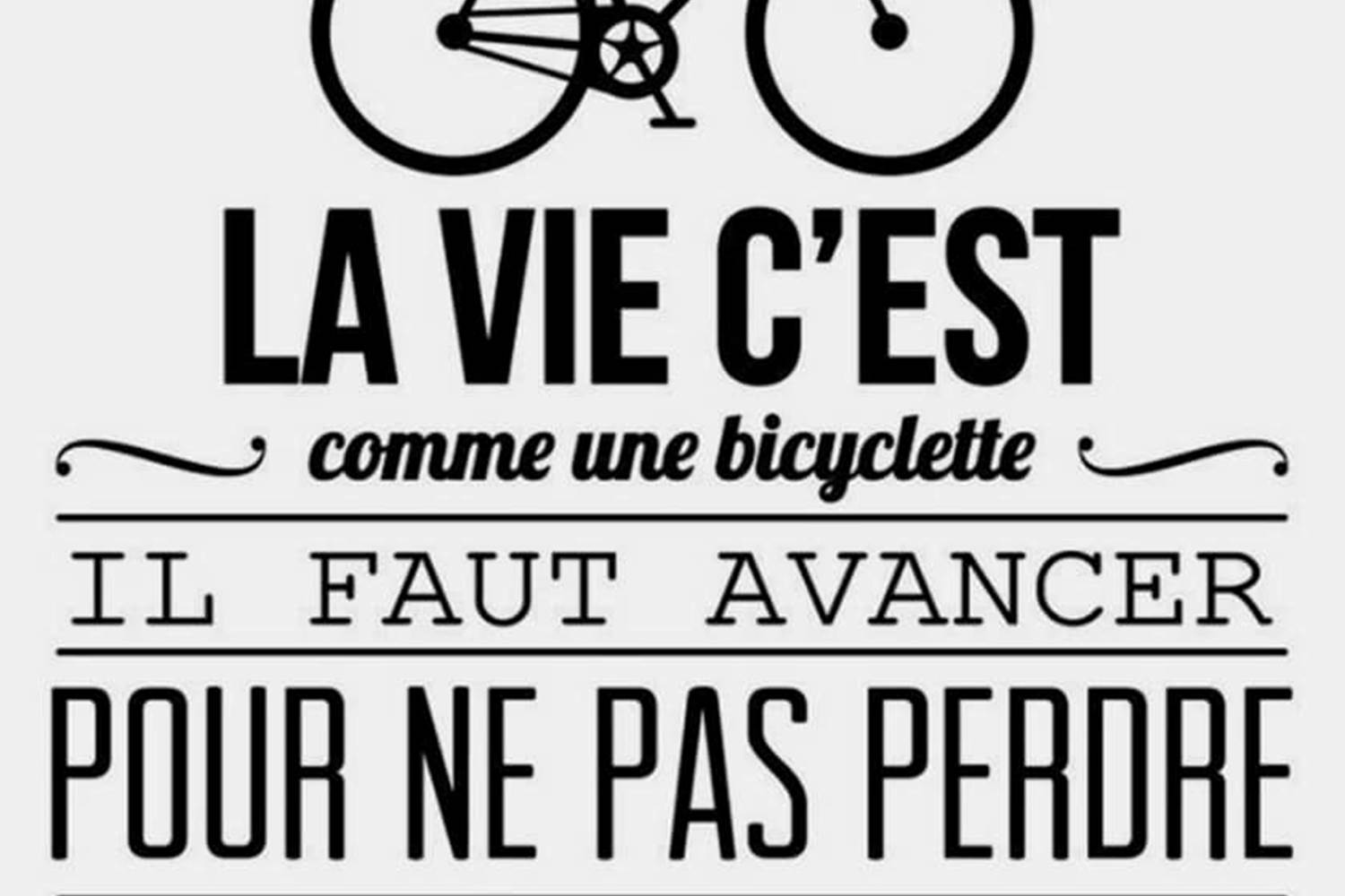 vélo marais