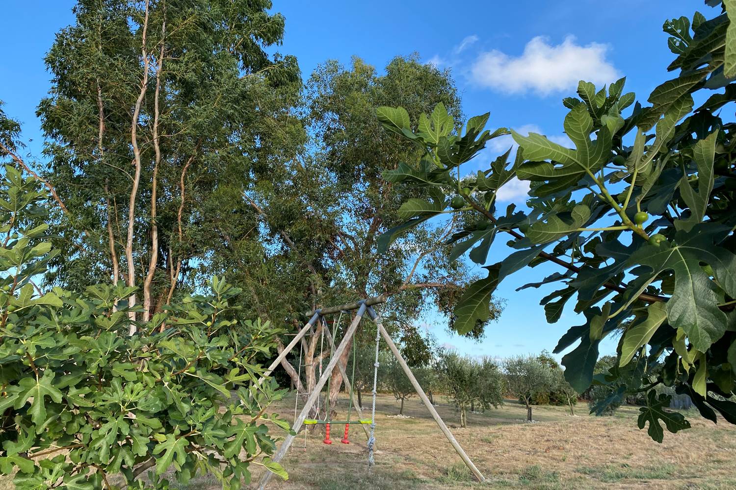 Module de jeu pour enfant