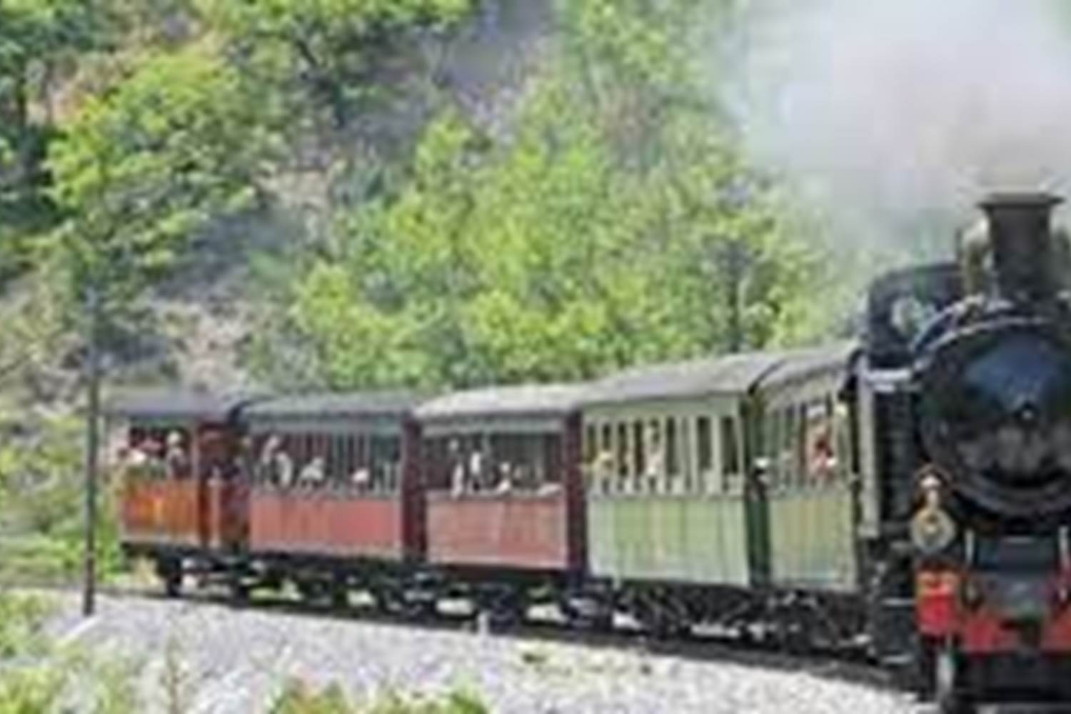 Train des Pignes à vapeur