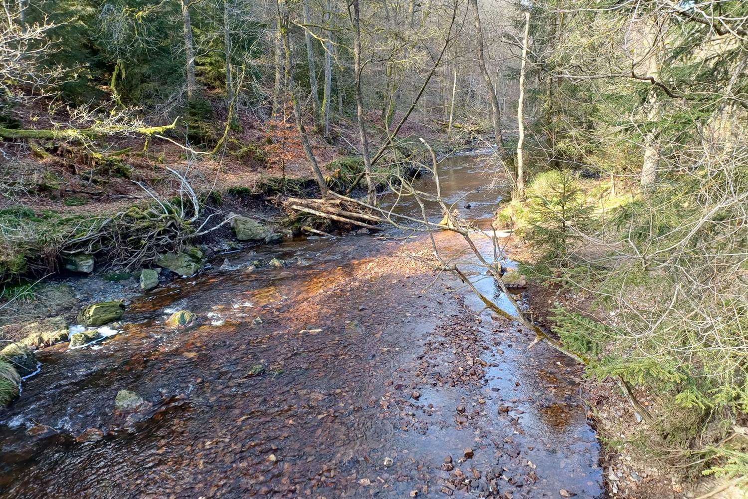 Balade du Pont de Belleheid