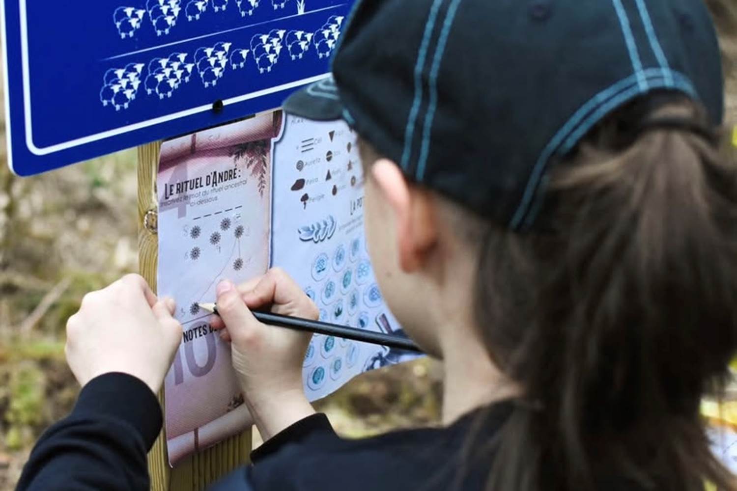 Notez toutes vos réponses de l'exploration en forêt