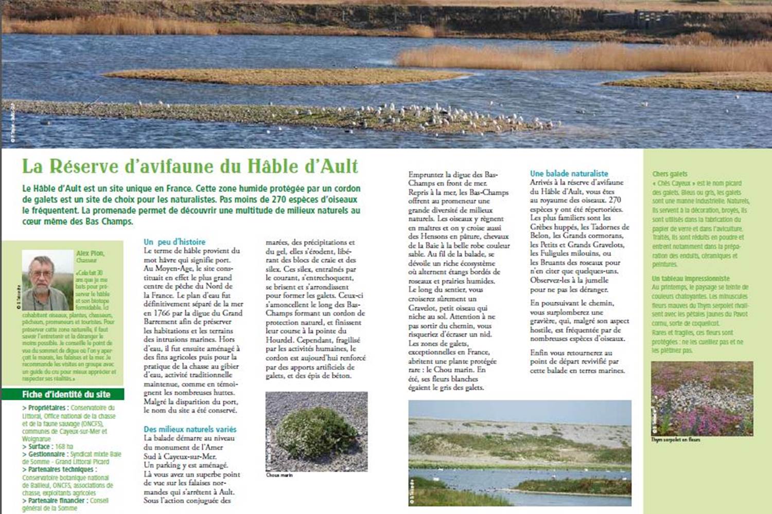 la réserve du Hâble d'Ault à Cayeux sur Mer