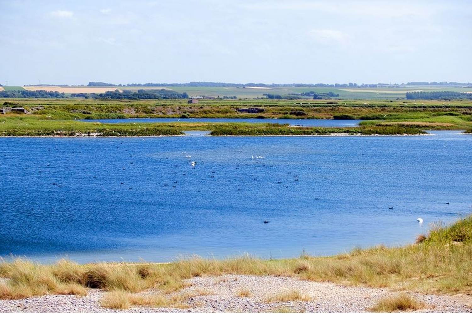 photo de la réserve du Hâble d'Ault à Cayeux sur Mer