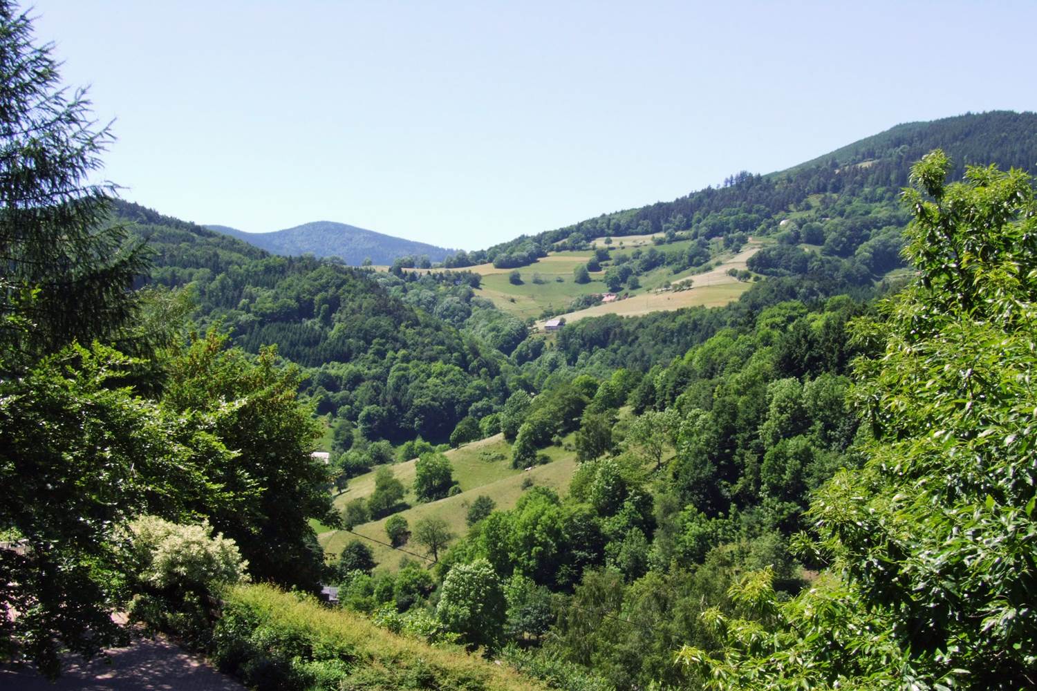 vue sur le massif des Vosges