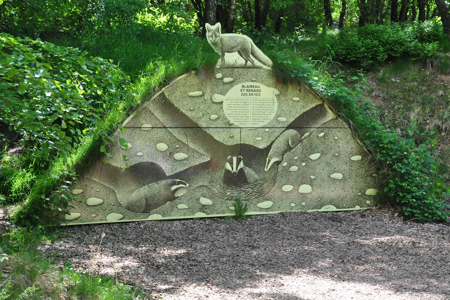 cachette souterraine blaireau et renard