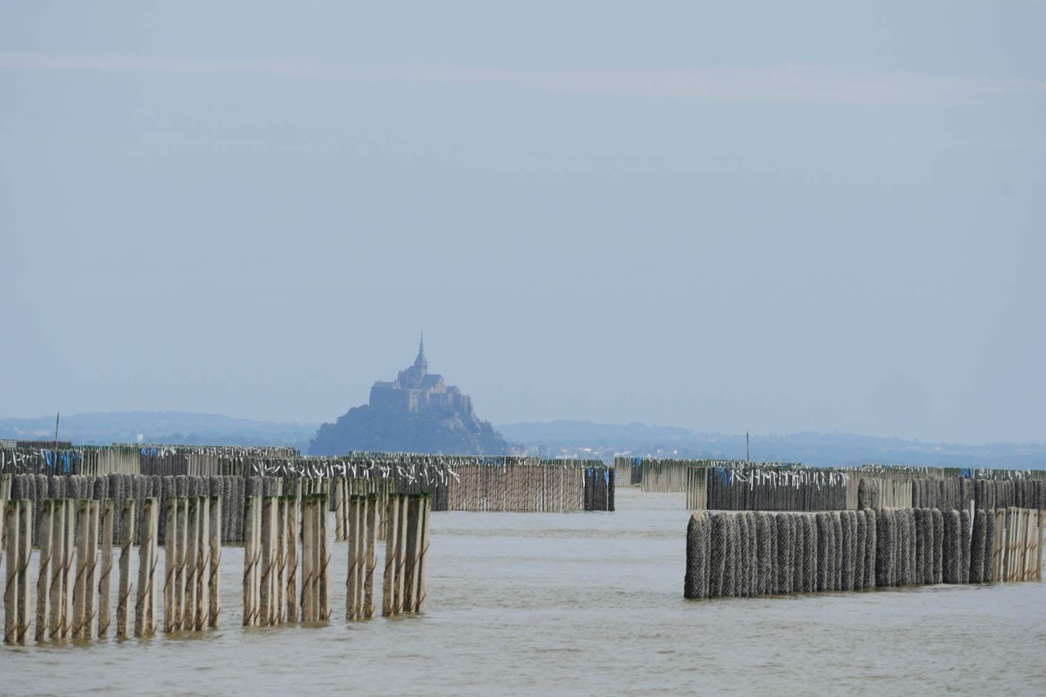 Mont Saint Michel - Parc à moules de la Baie ( c SMBMSM)
