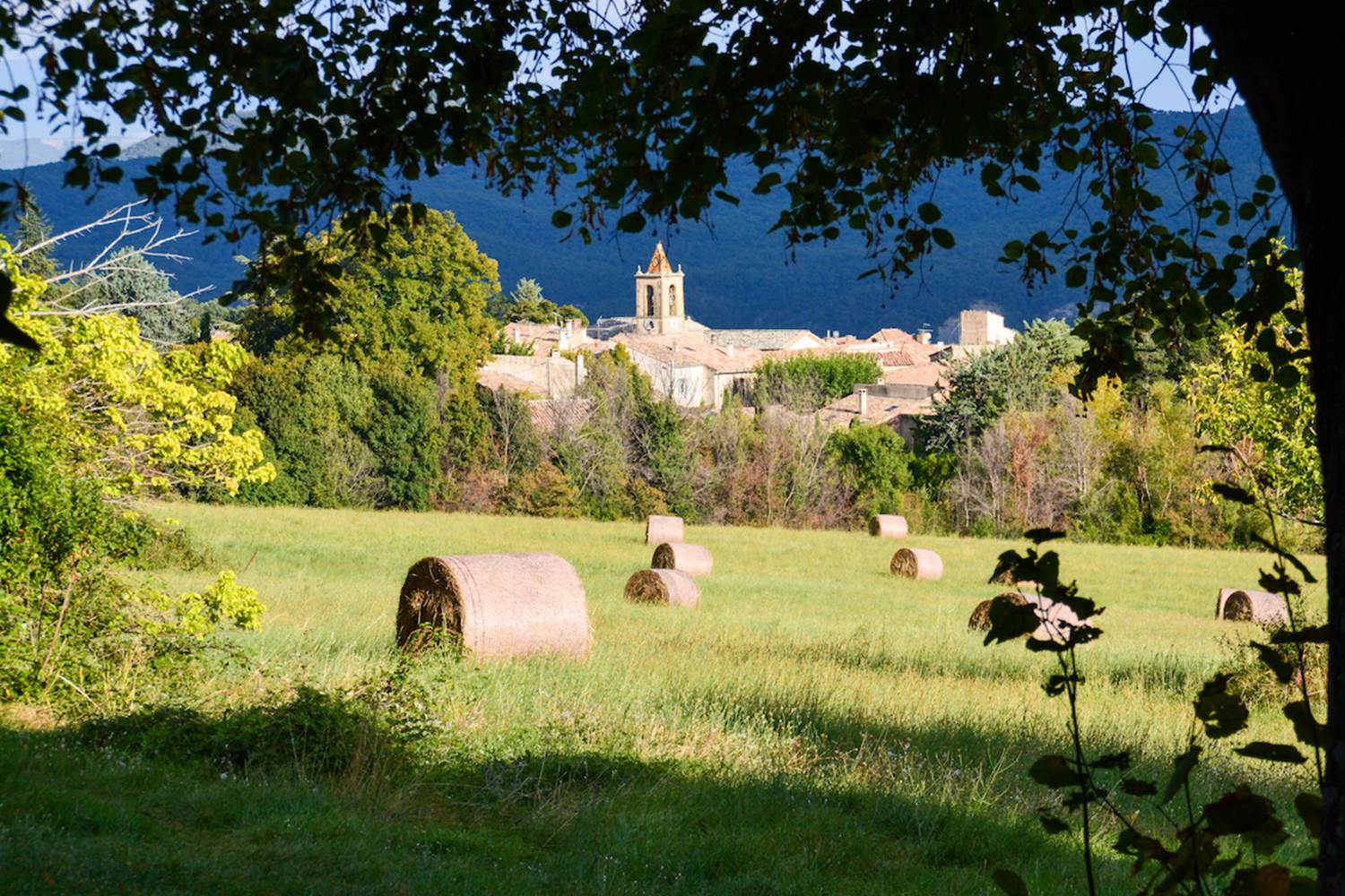 Le village de Cruis vu depuis la bastide