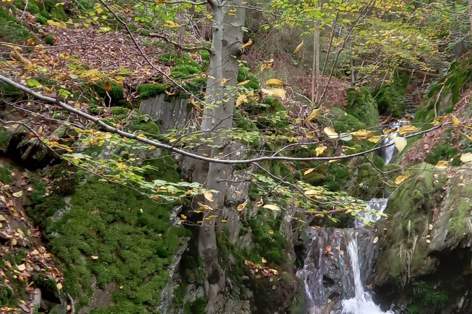 La cascade de Haldeboeuf