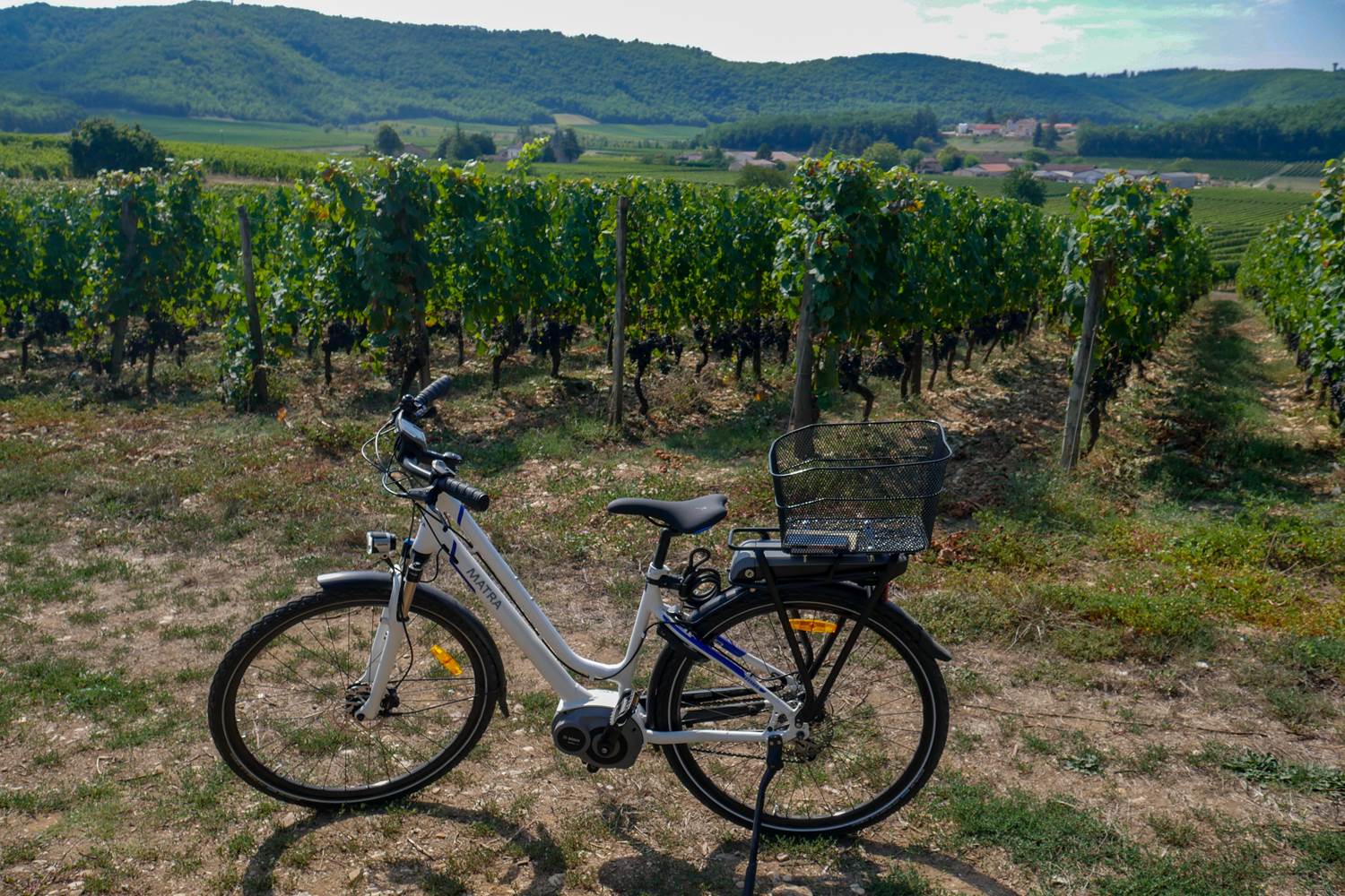 Vinocycle au Clos Triguedina Lot Tourisme - C. Seguy