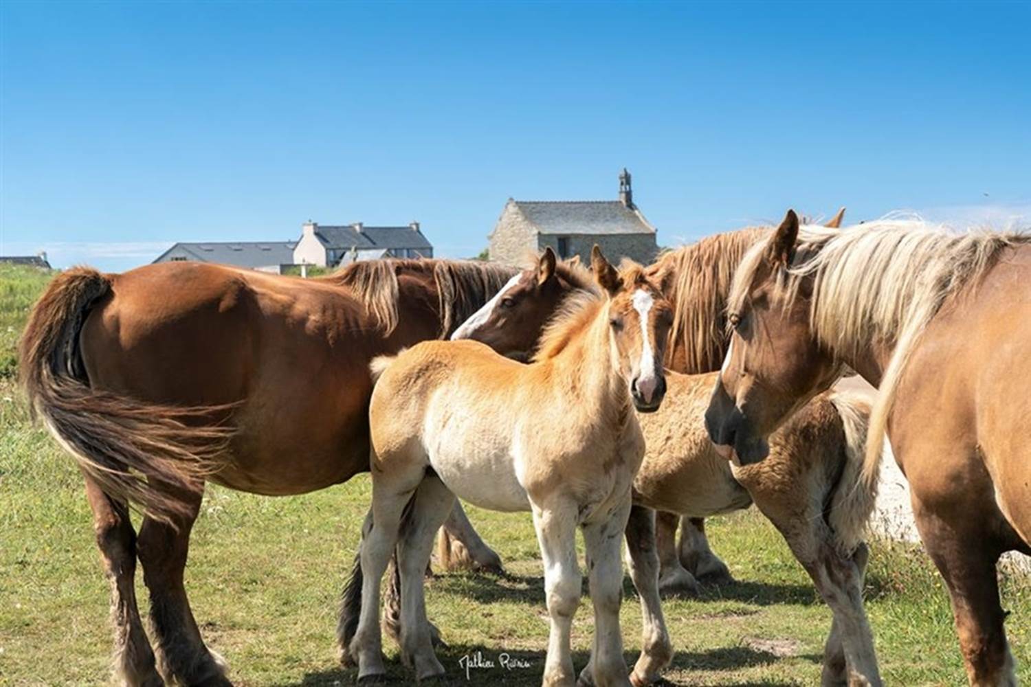 Landunvez----Credit-photo-Mathieu-Rivrin