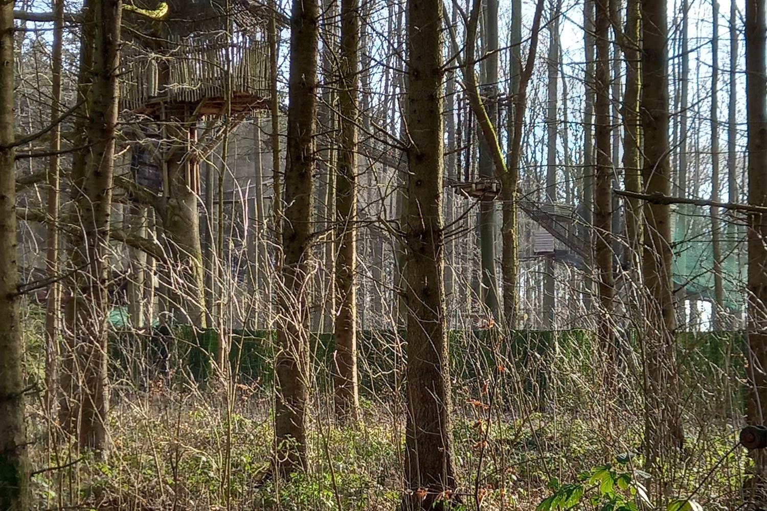 Si vous regardez bien vous voyez les cabanes du Fraxinus