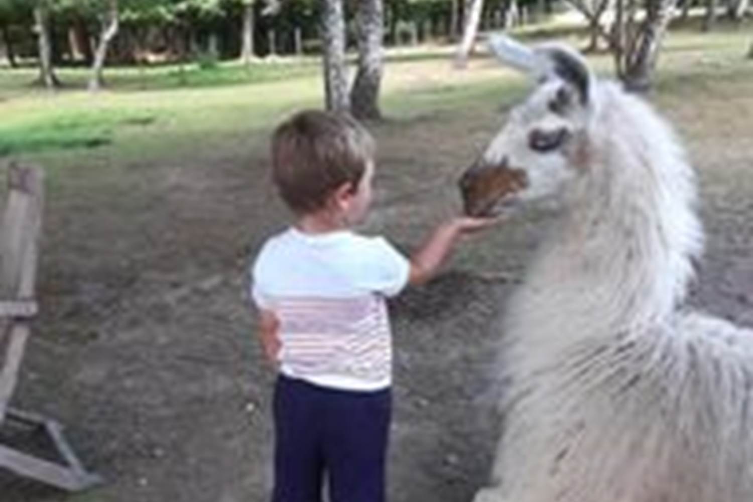 On peut même les nourrir