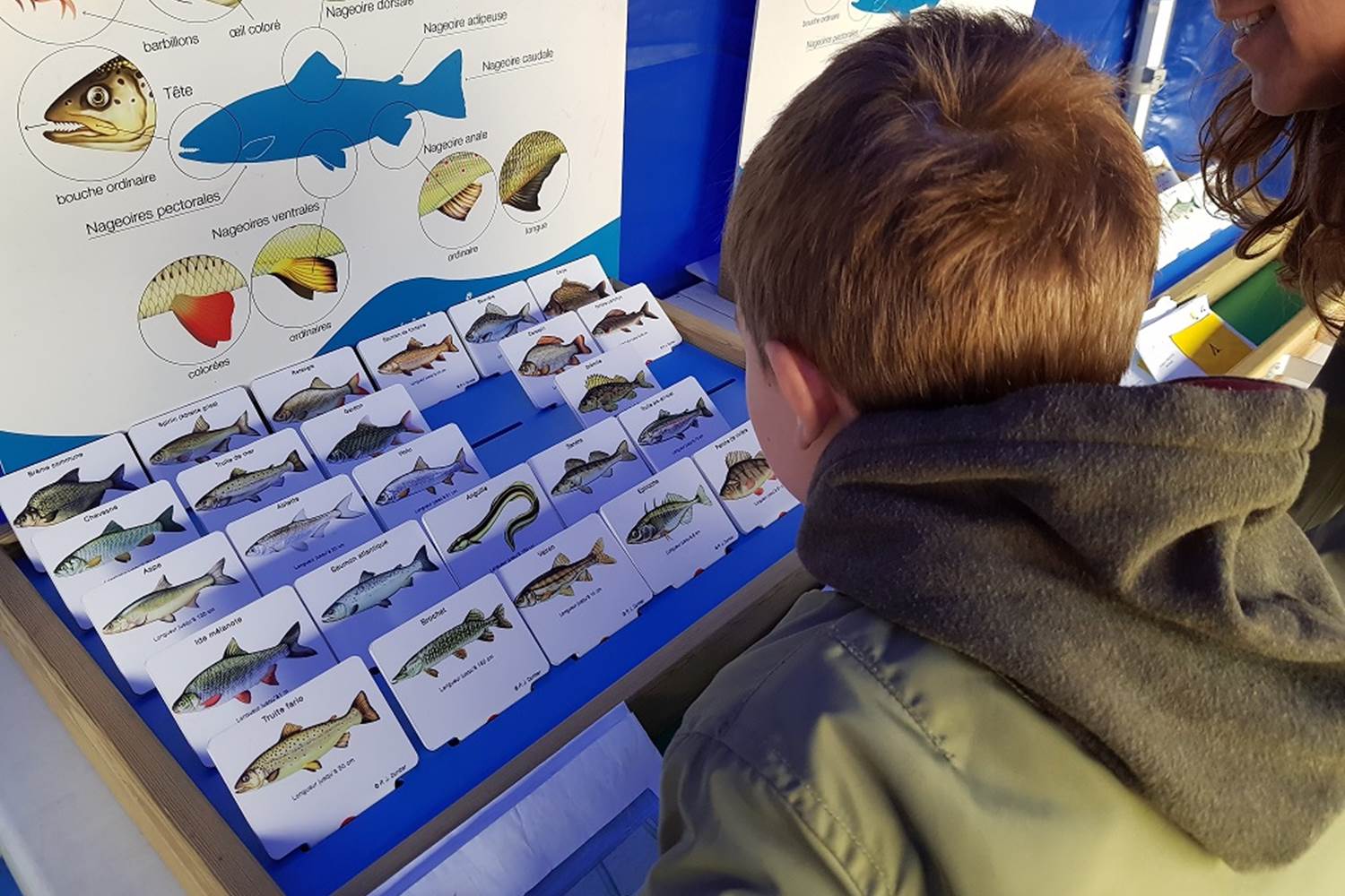 atelier-nature-ecole