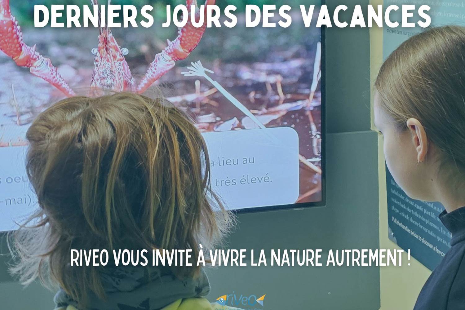 sortie-famille-decouverte-nature-durbuy-riveo