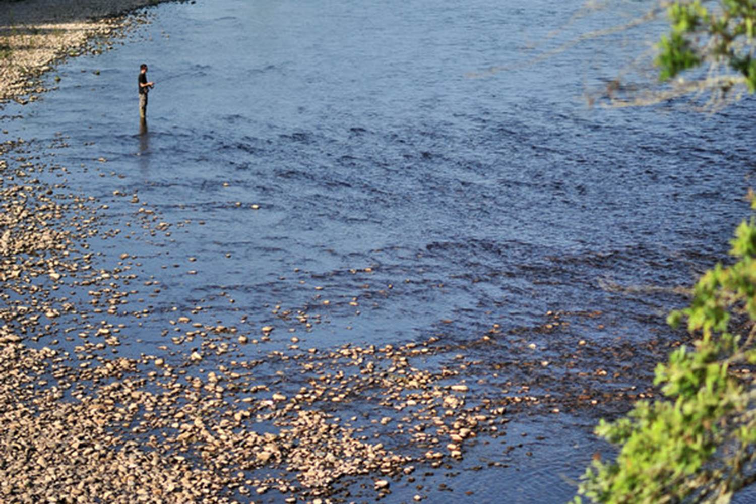 Pêcher dans la Dordogne