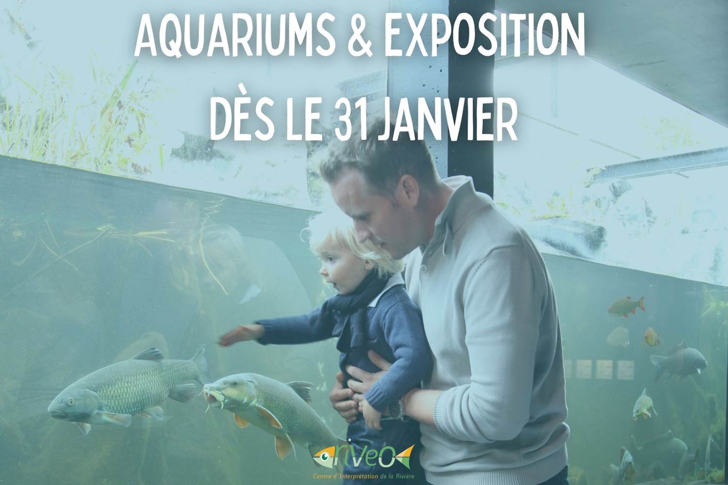 riveo-aquariums-exposition-activite-famille-hiver-ardenne