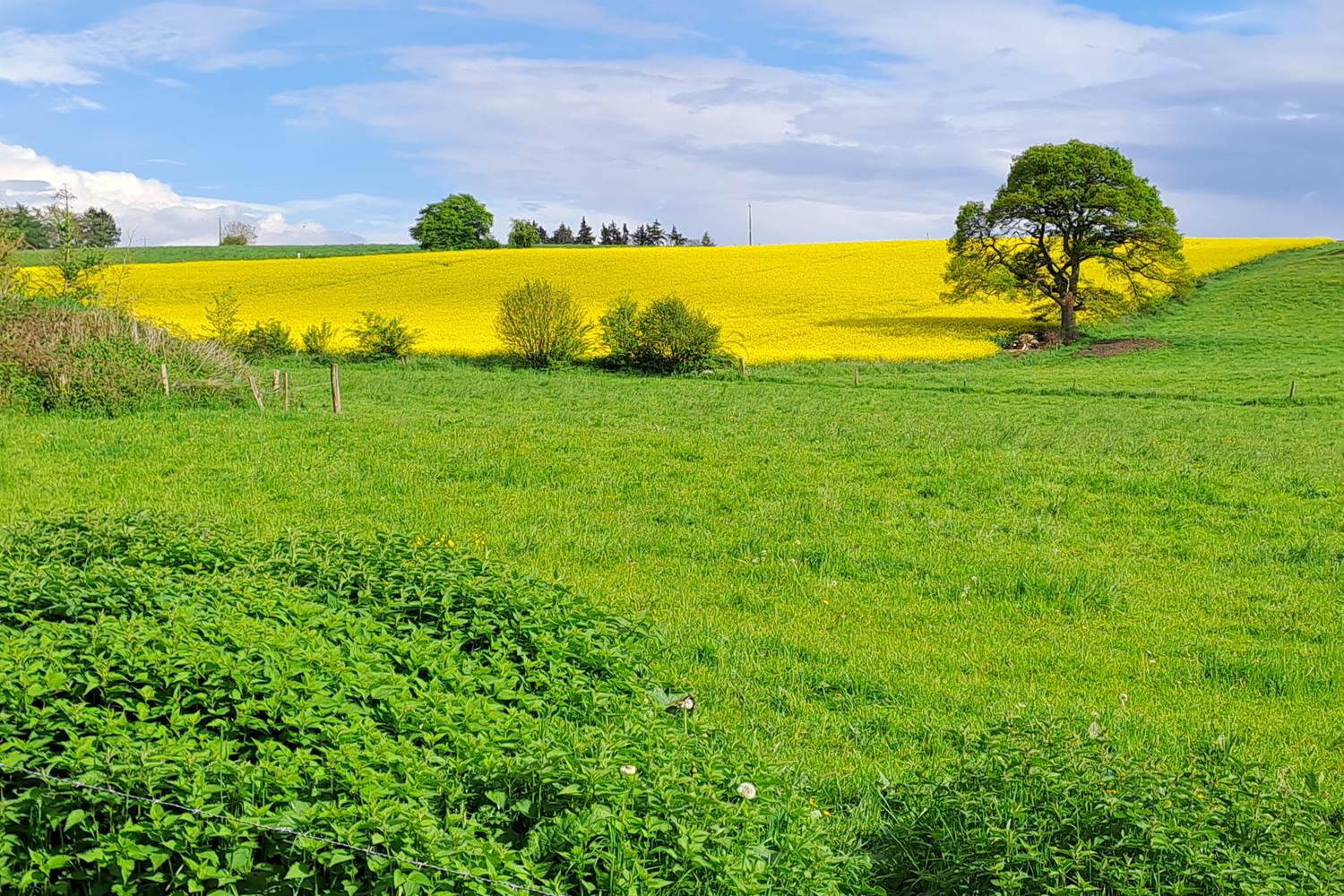 Prairies et cultures