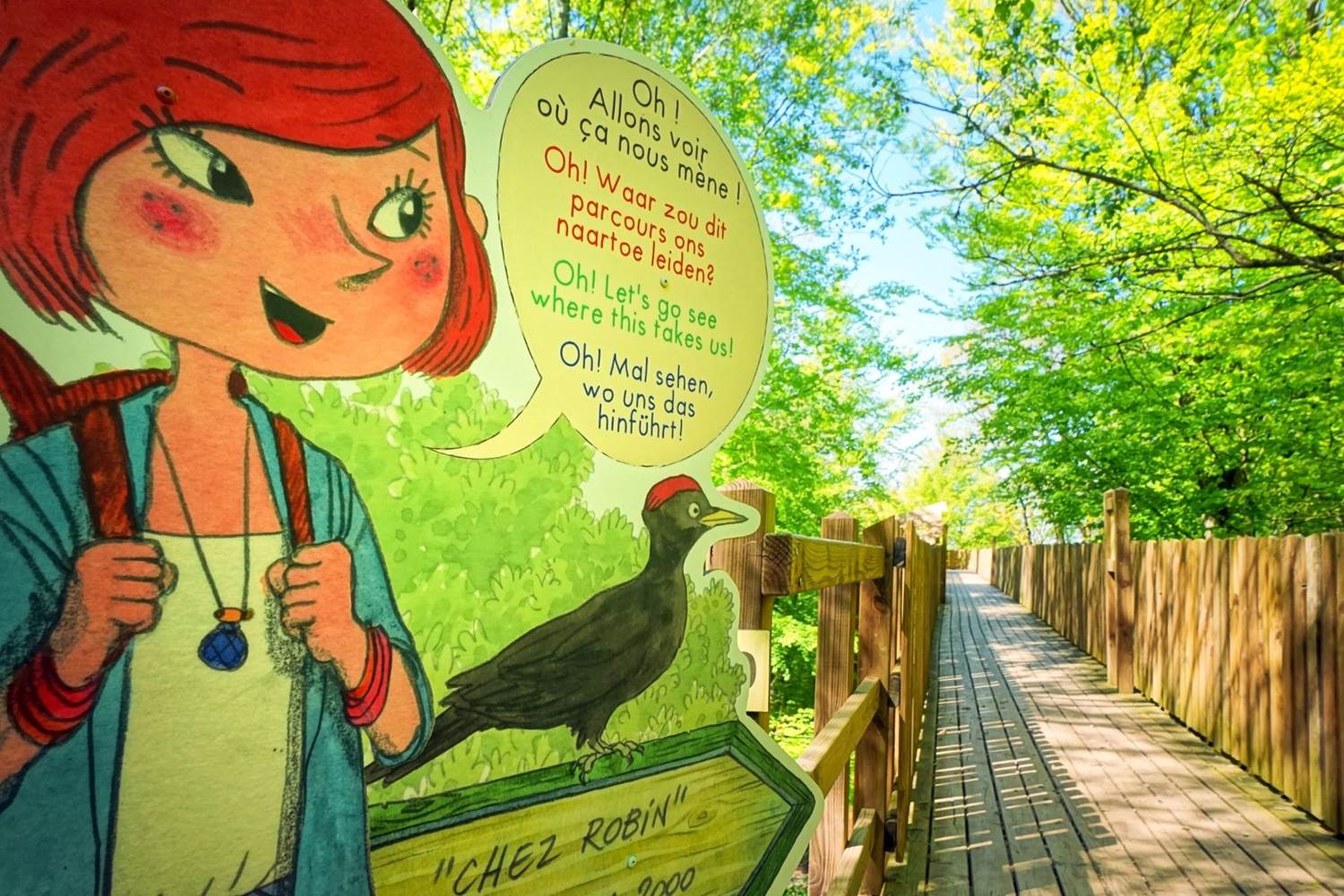 Parcours cime des arbres