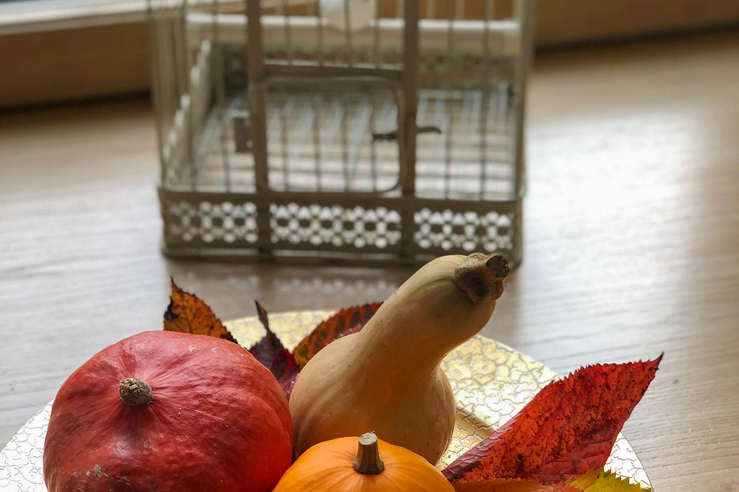 l'automne en fête à la Demeure du Porzou