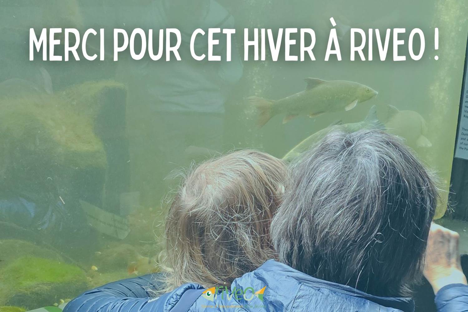 tourisme-vert-famille-nature-wallonie